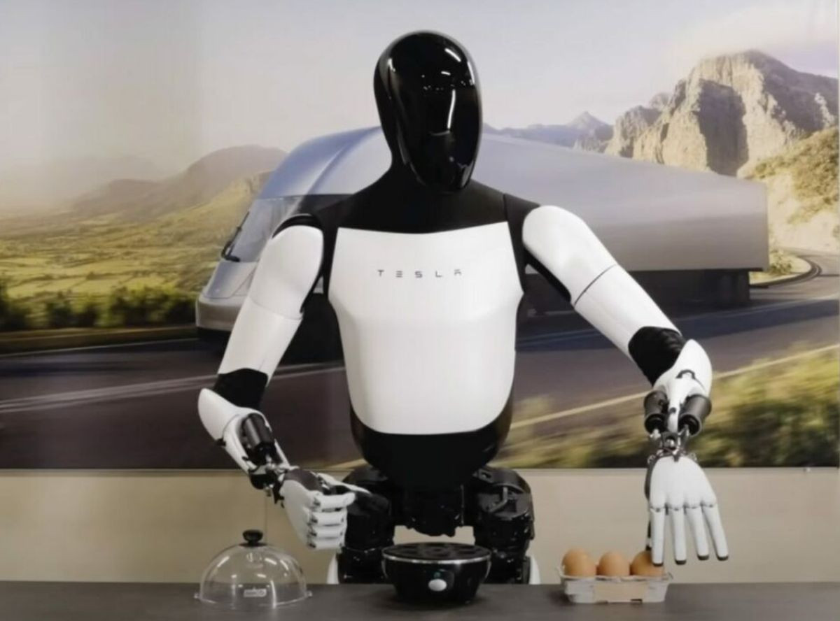Tesla Optimus Robot humanoide